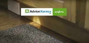 Advion karınca jeli