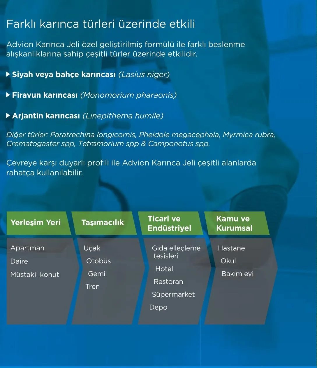 Advion Karınca Jeli farklı karınca türleri ve kullanım alanları