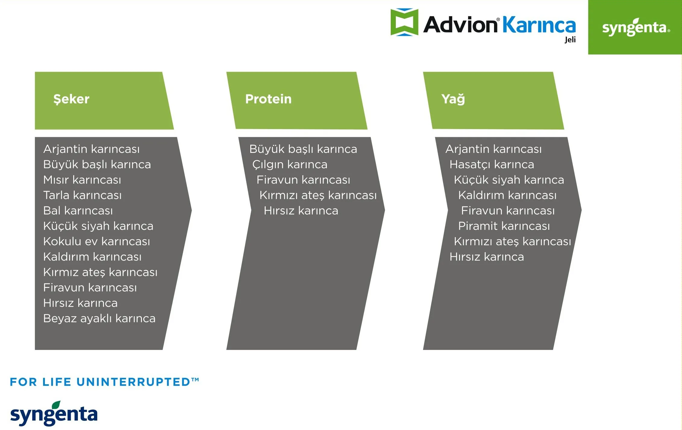 Advion Karınca Jeli şeker, protein ve yağ ile beslenen karınca türleri
