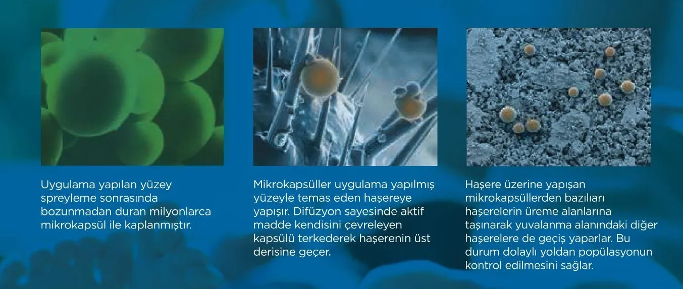 Icon 10CS mikrokapsül etki mekanizması görselleri